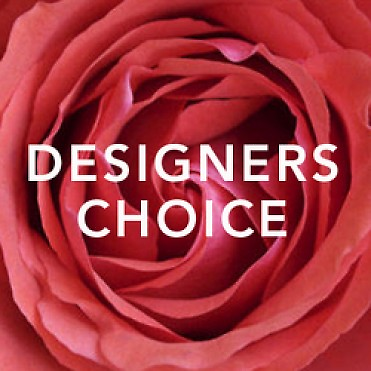 Designer's Choice